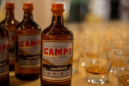 WhatsApp-Image-2022-09-27-at-9.02.20-AM-7