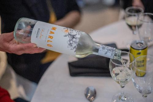 WhatsApp-Image-2022-09-27-at-9.04.01-AM-1